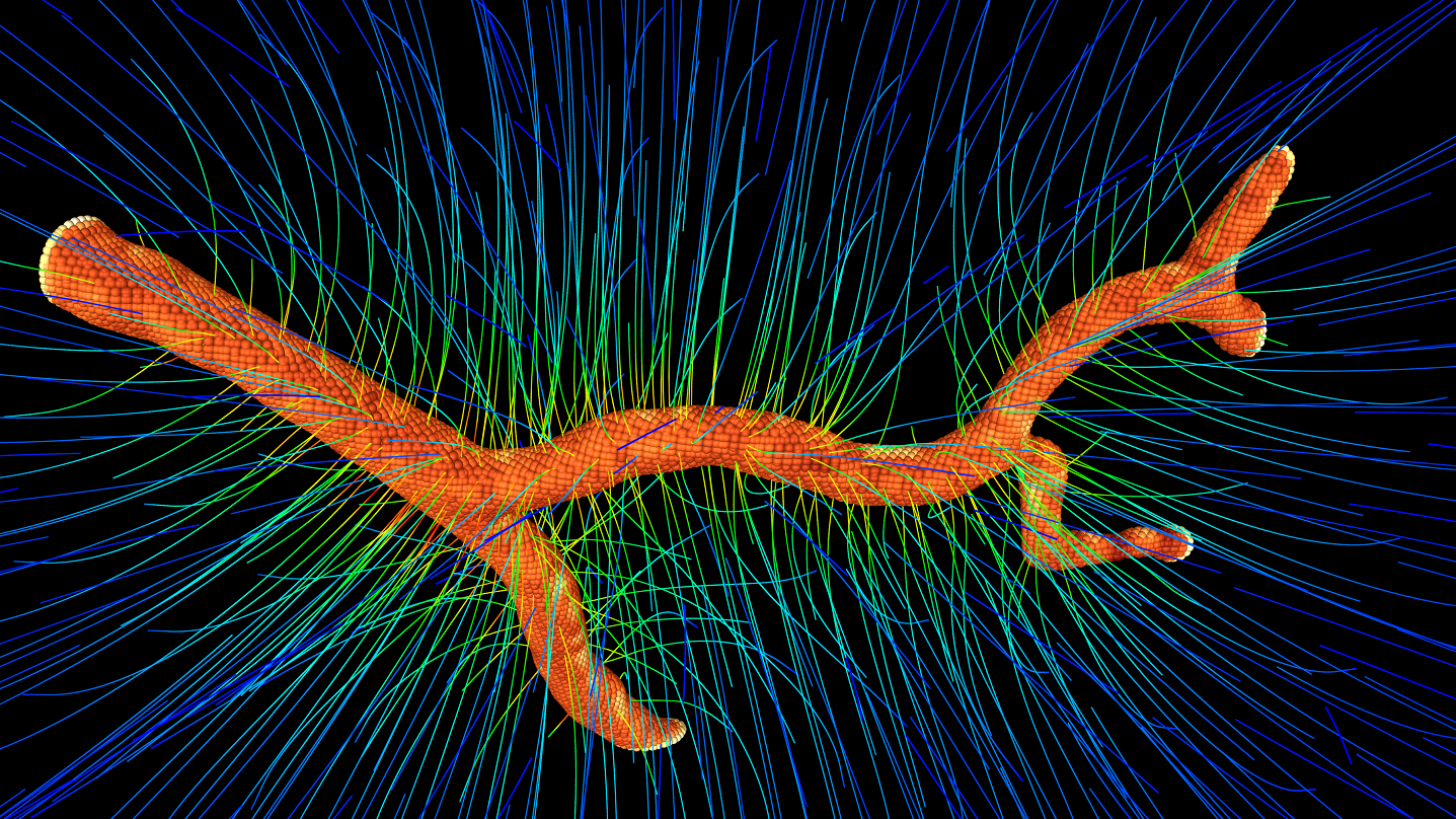 Timothy Software (http://timothy.icm.edu.pl) is currently being developed towards inclusion of blood vessels that supply nutrients to the tissue. Image originated from one of the first simulation of this type, it shows a vessel with a concentration gradient of oxygen in the surrounding tissue.
